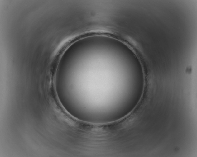 X0000112881408200908281626