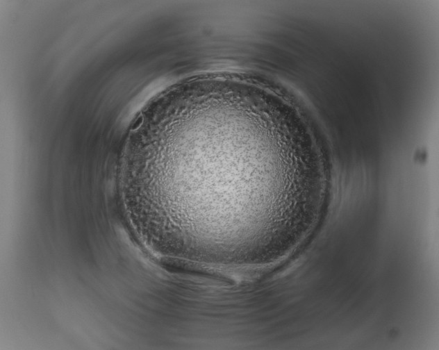 X0000112881409200908281626