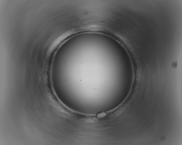 X0000112881410200908281626