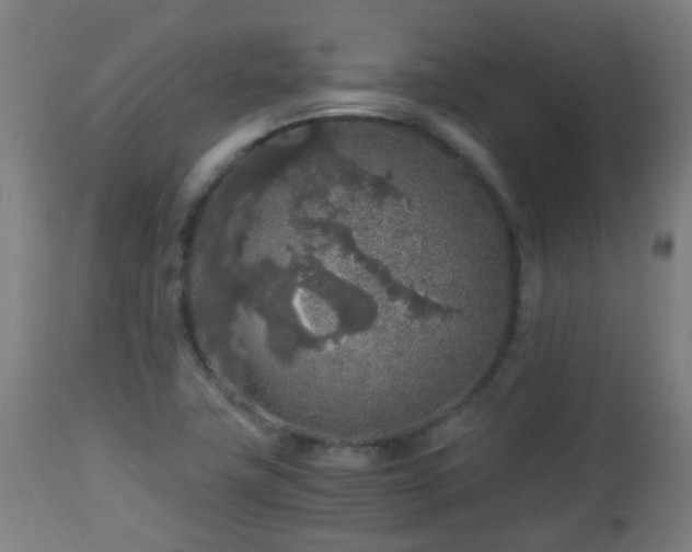 X0000112881411200908281626