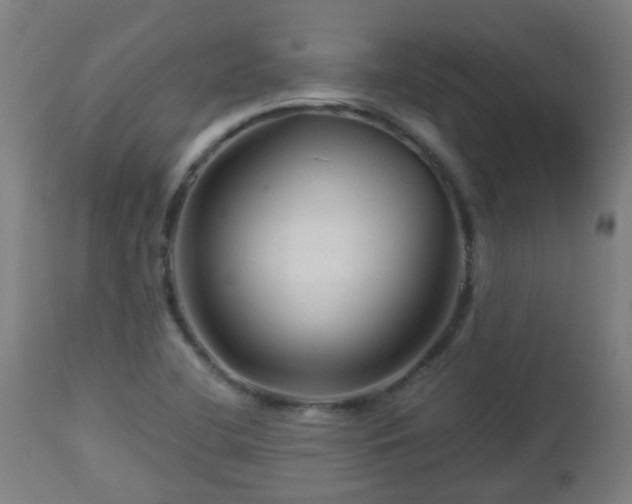 X0000112881412200908281626