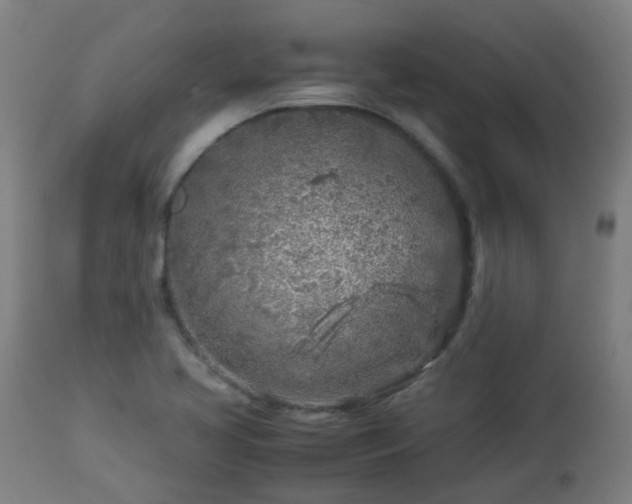 X0000112881413200908281626