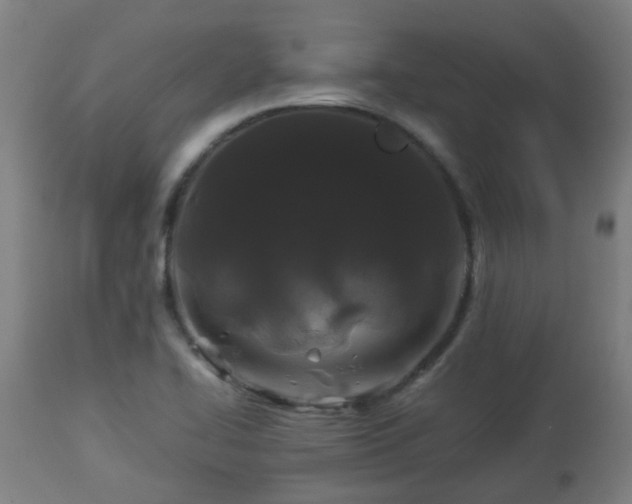 X0000112881414200908281626