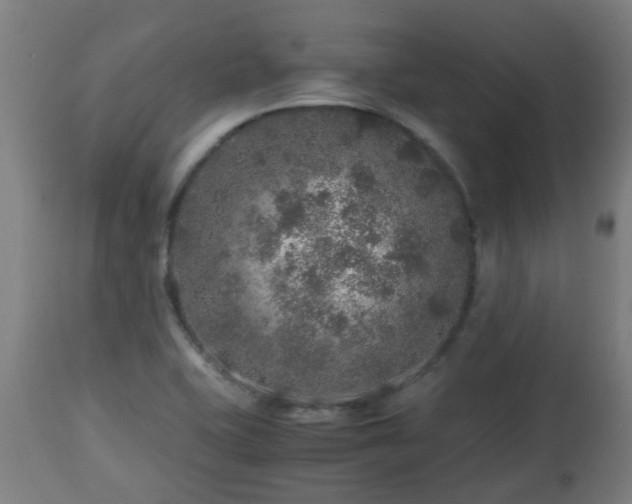 X0000112881415200908281626