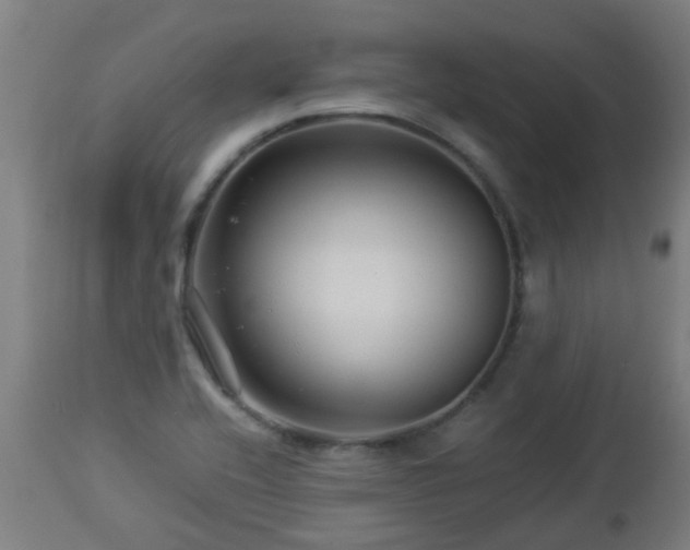 X0000112881416200908281626