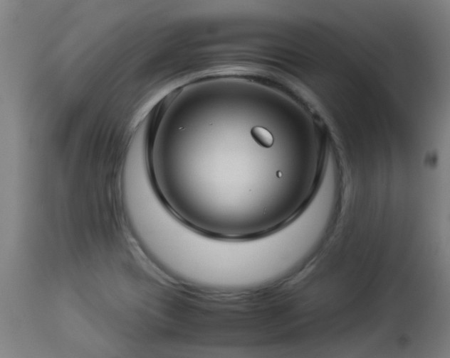 X0000112881417200908281626