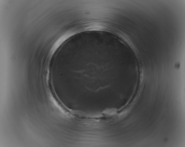 X0000112881418200908281626