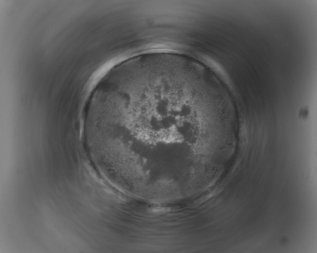 X0000112881419200908281626