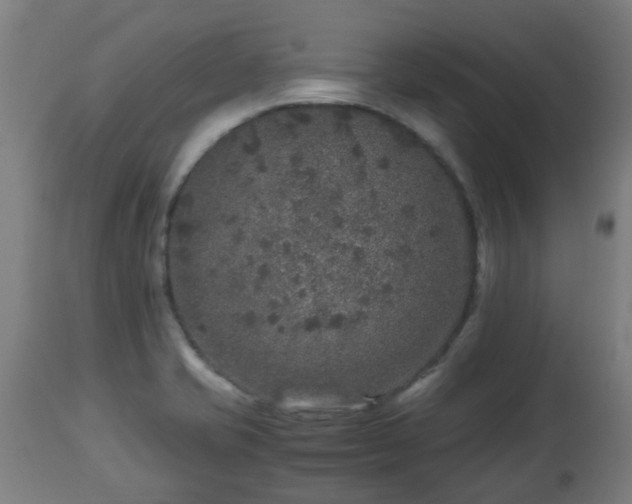 X0000112881421200908281626