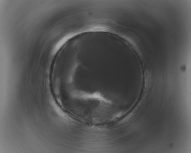 X0000112881422200908281626