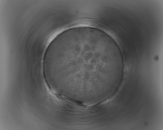 X0000112881423200908281626