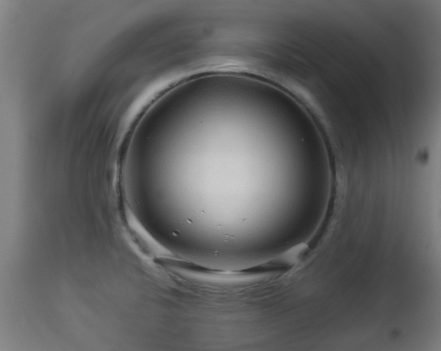 X0000112881424200908281626