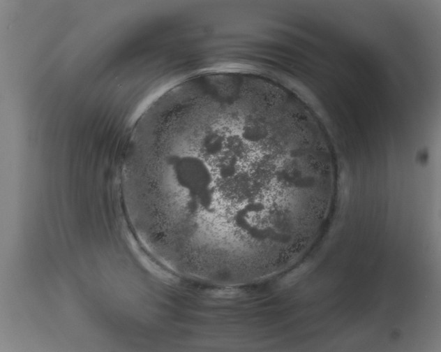 X0000112881425200908281626