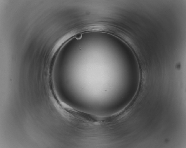 X0000112881426200908281626