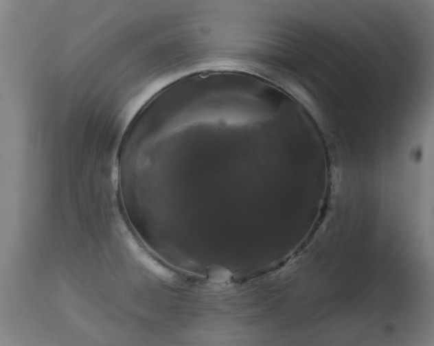 X0000112881428200908281626