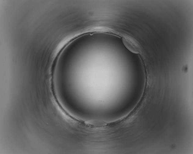 X0000112881430200908281626