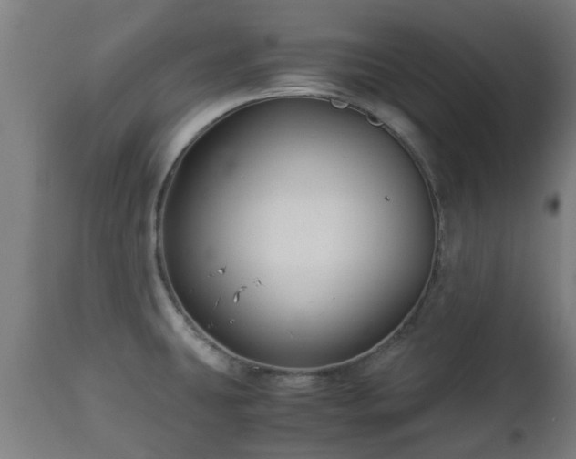 X0000112881431200908281626