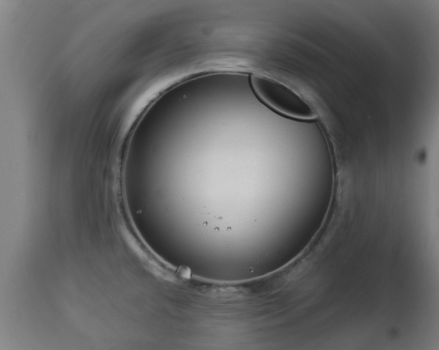 X0000112881432200908281626