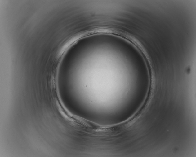 X0000112881433200908281626