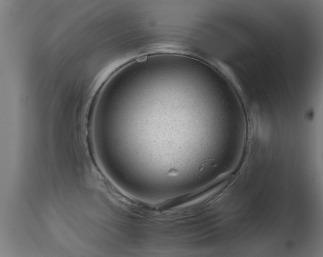 X0000112881435200908281626