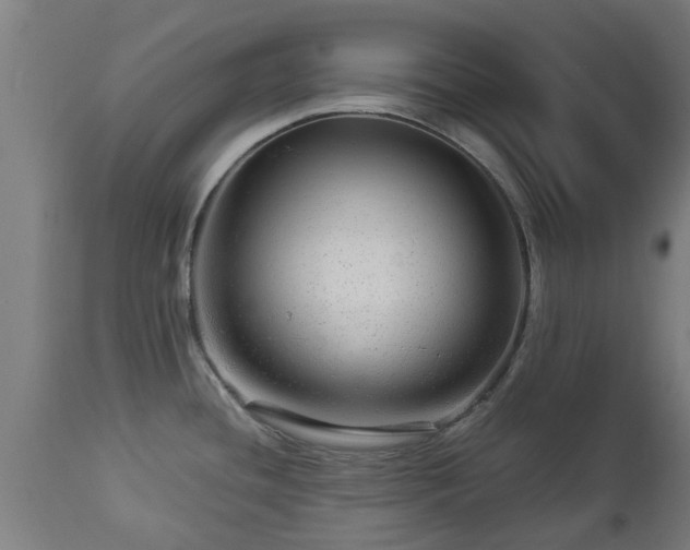 X0000112881436200908281626