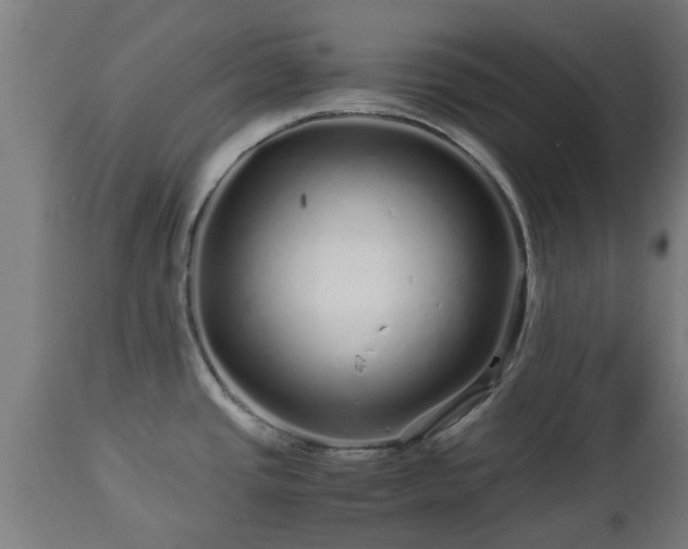 X0000112881437200908281626