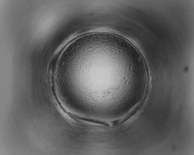 X0000112881438200908281626