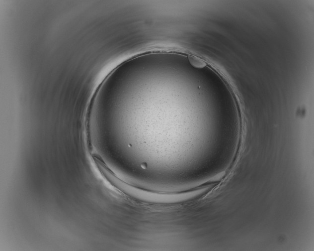 X0000112881440200908281626