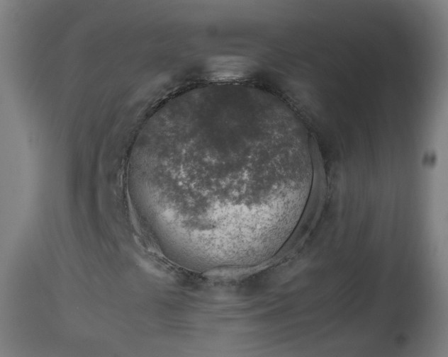 X0000112881441200908281625