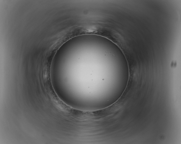 X0000112881442200908281625