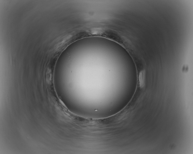 X0000112881443200908281625