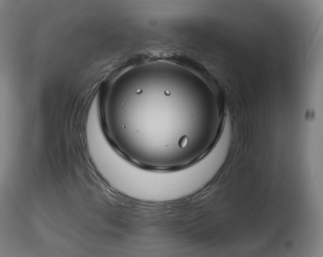 X0000112881444200908281625