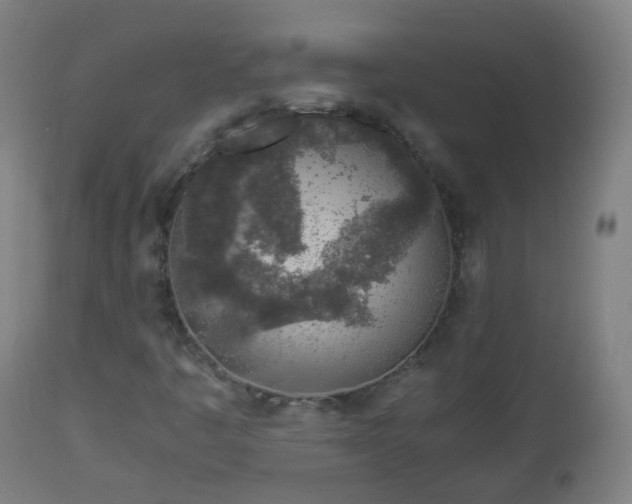 X0000112881445200908281625