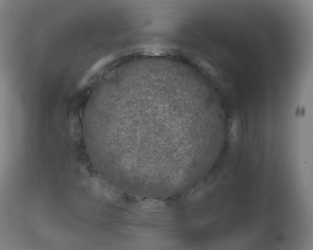 X0000112881446200908281625