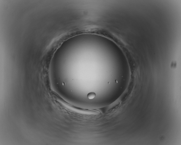 X0000112881447200908281625