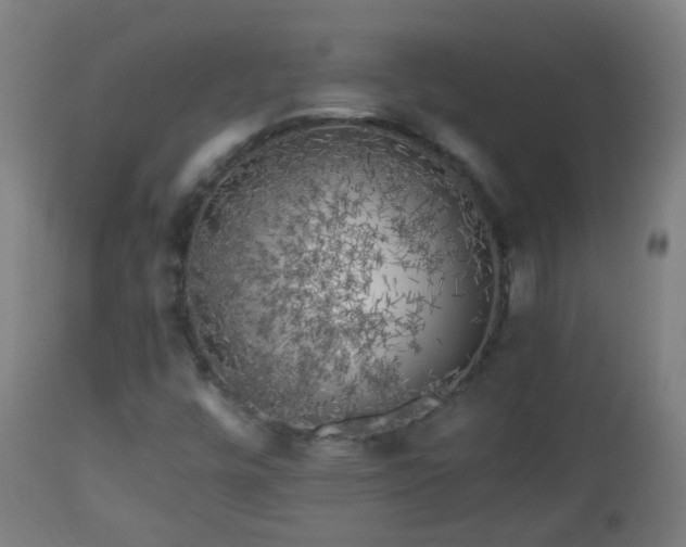 X0000112881448200908281625