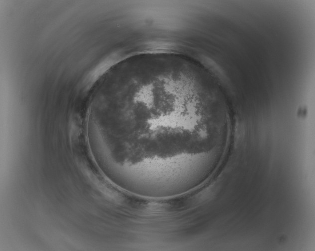 X0000112881449200908281625