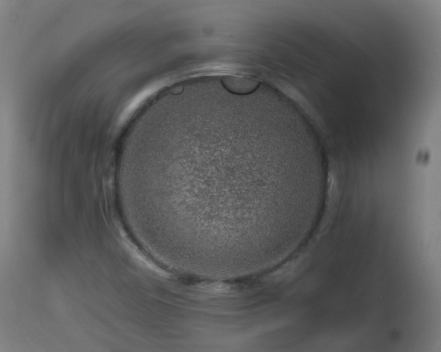 X0000112881450200908281625