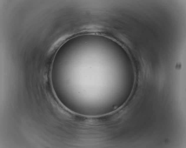 X0000112881451200908281625