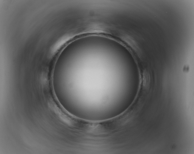 X0000112881452200908281625