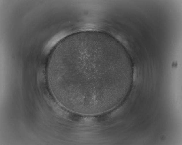 X0000112881453200908281625