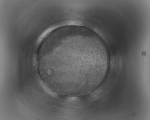 X0000112881454200908281625