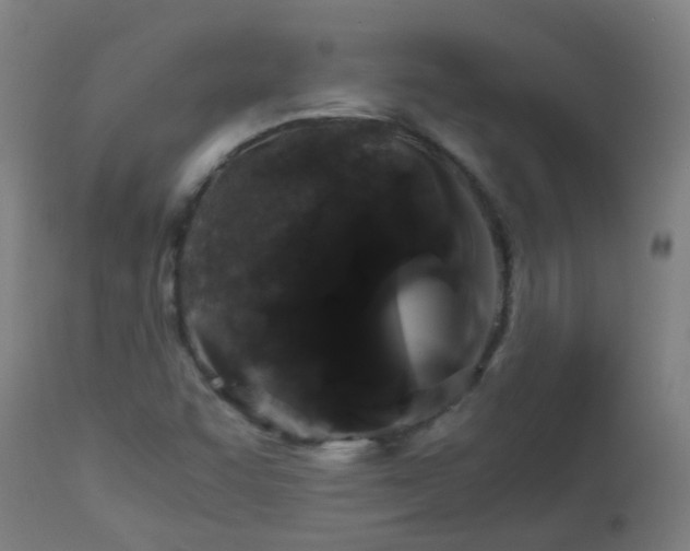 X0000112881455200908281625