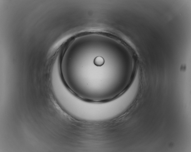 X0000112881456200908281625