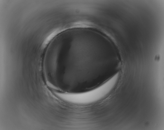 X0000112881459200908281625