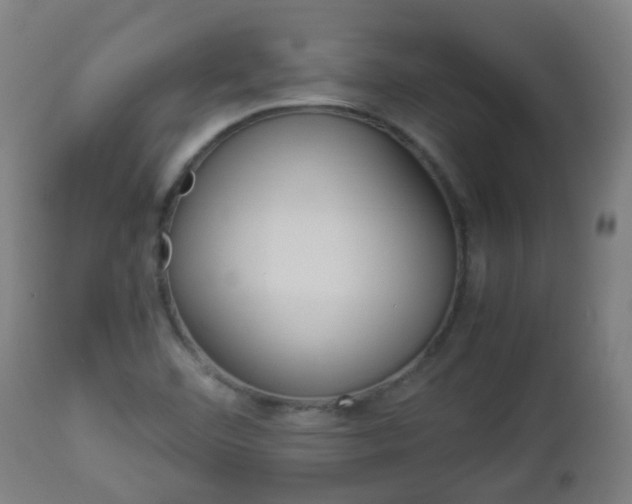 X0000112881460200908281625