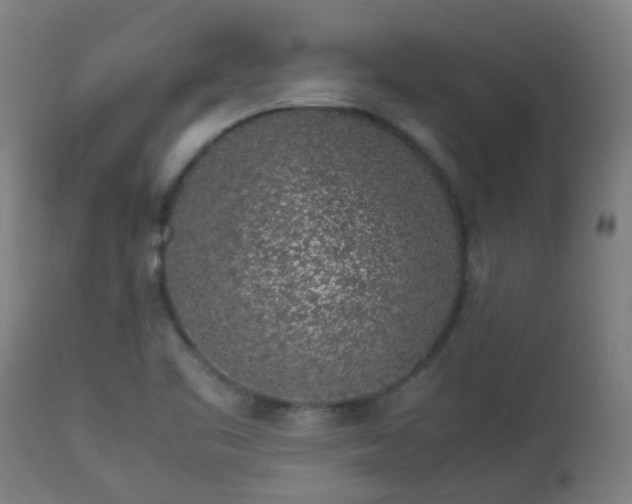 X0000112881461200908281625