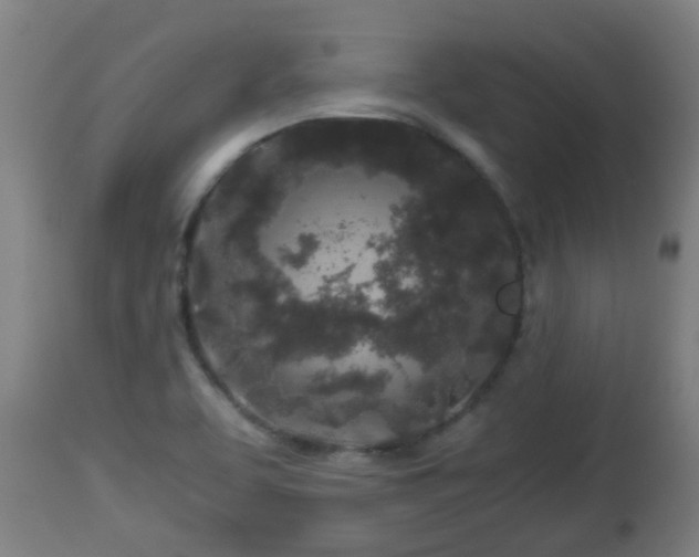 X0000112881463200908281625