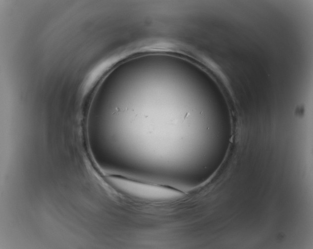 X0000112881464200908281625