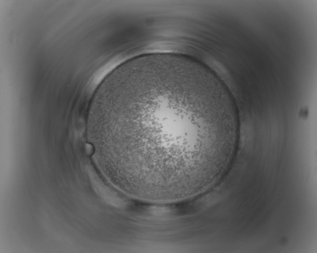 X0000112881465200908281625